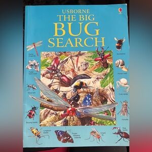 Usborne big bug search paperback book